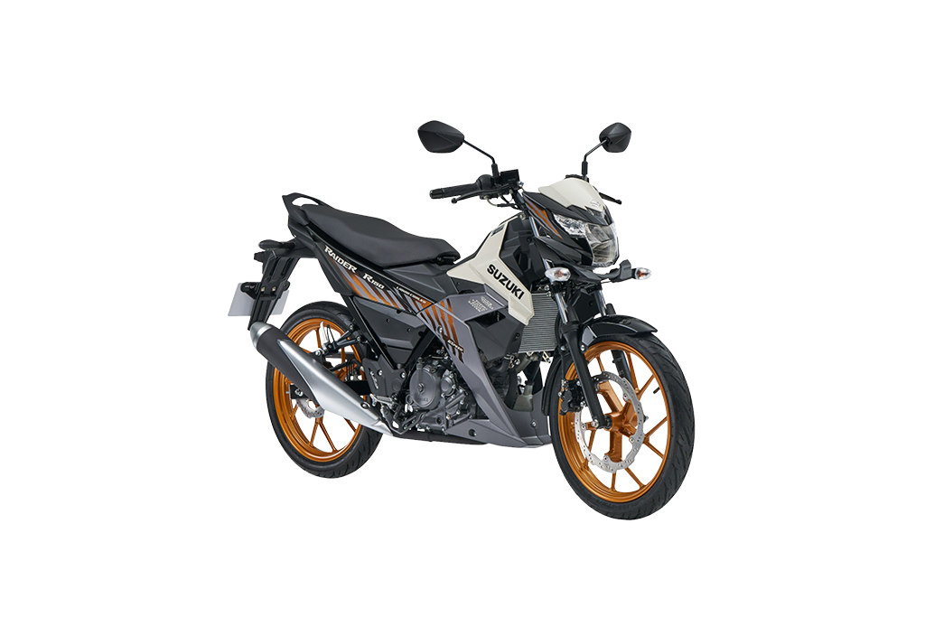 RAIDER 150 FI