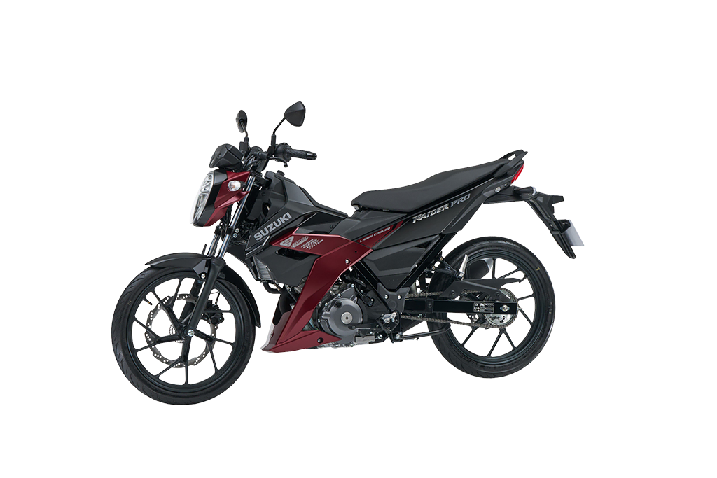 RAIDER R150 PRO EDITION