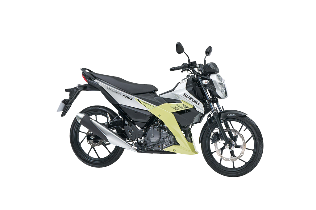 RAIDER R150 PRO EDITION